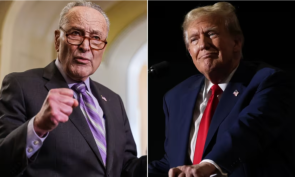 Schumer Loses! Court Sides With Trump In Historic Move