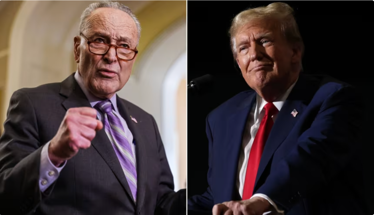 It Passed! Trump Beats Schumer After Senate Votes 52-45