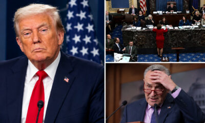 All Hell Breaks Loose In Senate After Wild Vote — It’s Shut Down!