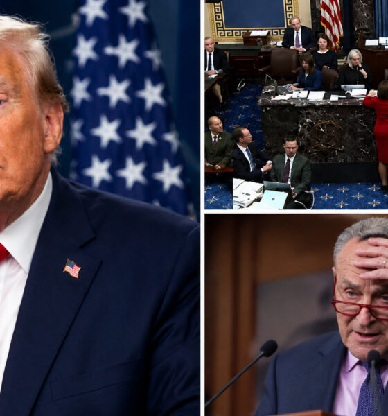 All Hell Breaks Loose In Senate After Wild Vote — It’s Shut Down!