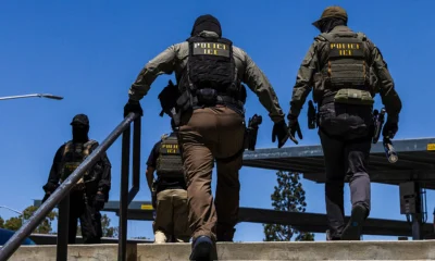 Popular News Anchor Arrested By ICE