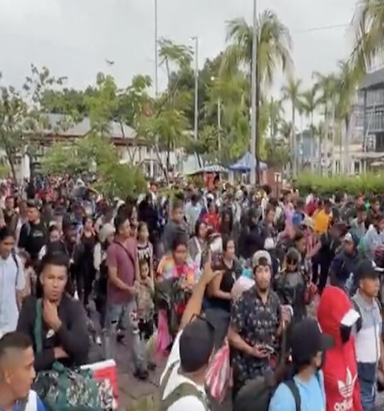 Massive Migrant Caravan Converges On U.S. For Democrat Midterm Victory