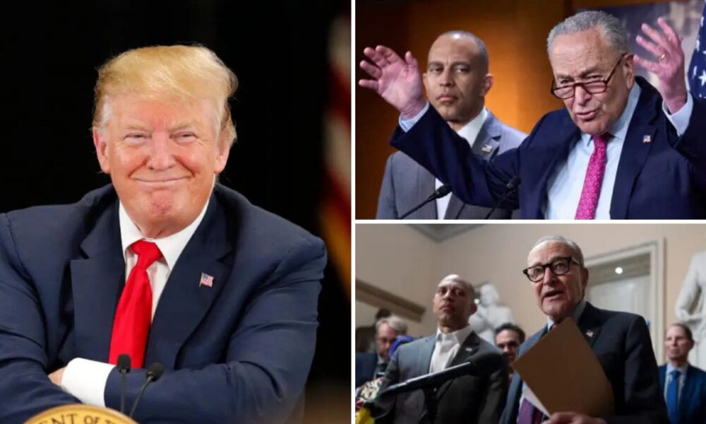 Dems Revolt Against Schumer And Side With Trump