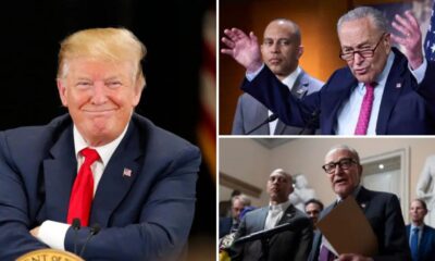 Dems Revolt Against Schumer And Side With Trump